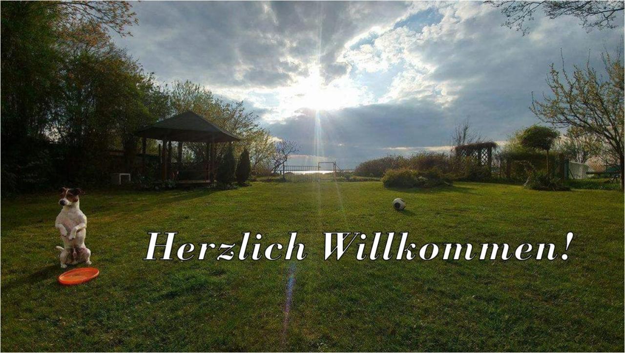 Villa Beata Nowe Warpno Exterior foto